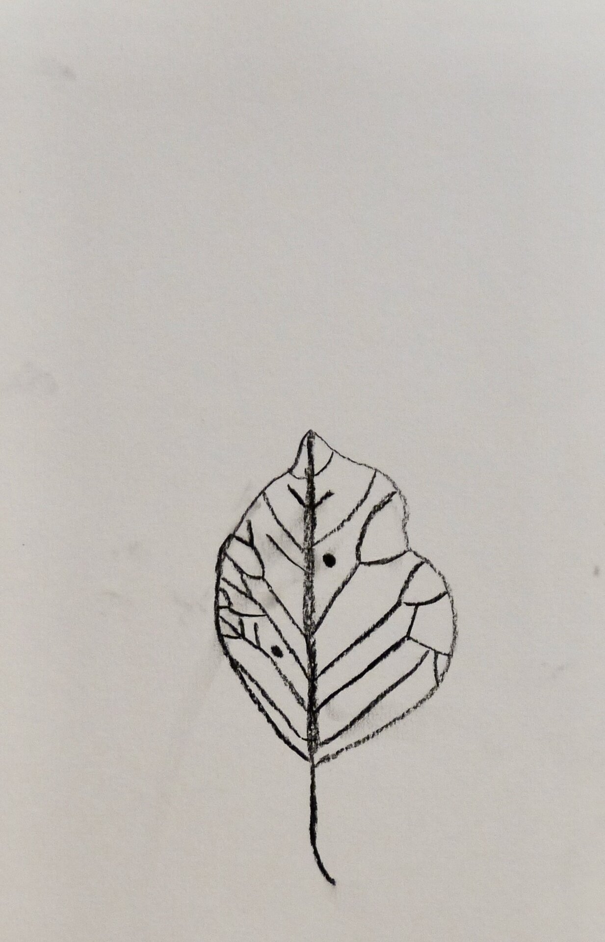 Leaves - Leaf - 84
